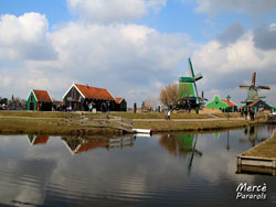 Holanda, Marzo 2013